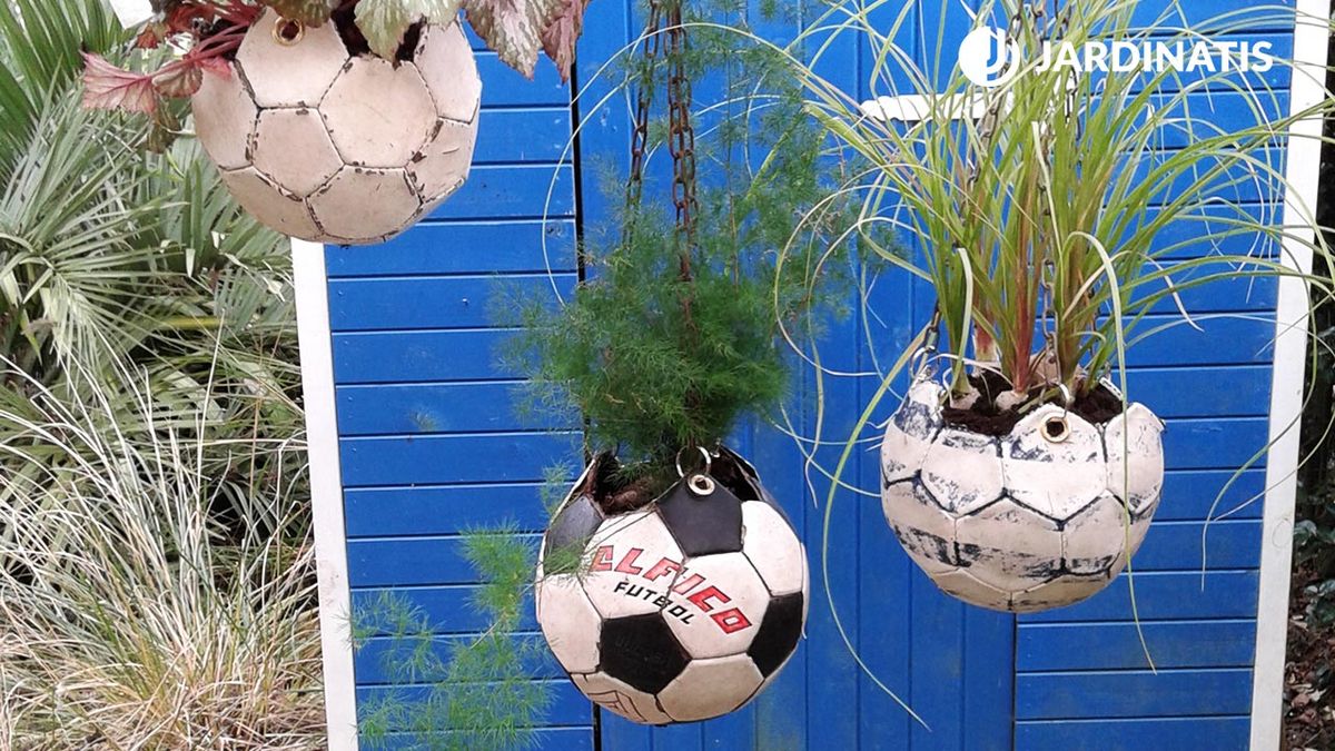 reutilizar balones como maceteros brico jardin 815