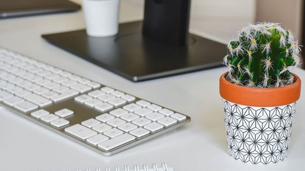 mito cactus cerca del ordenador