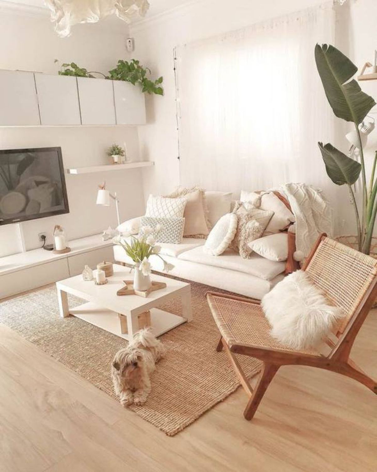 salon velas pinterest DÓNDE IR