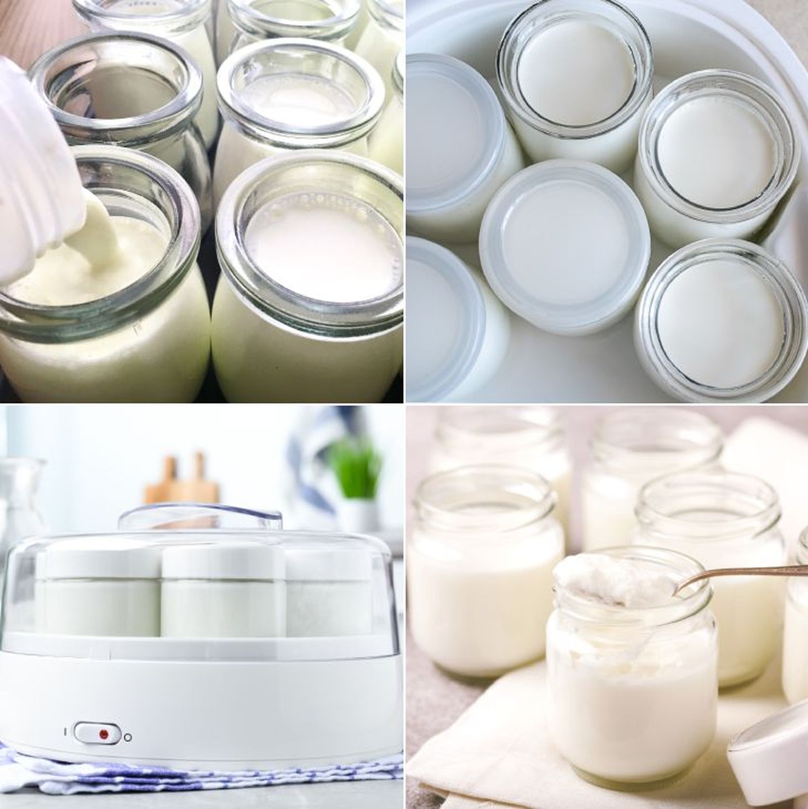 como hacer yogur natural en yogurtera