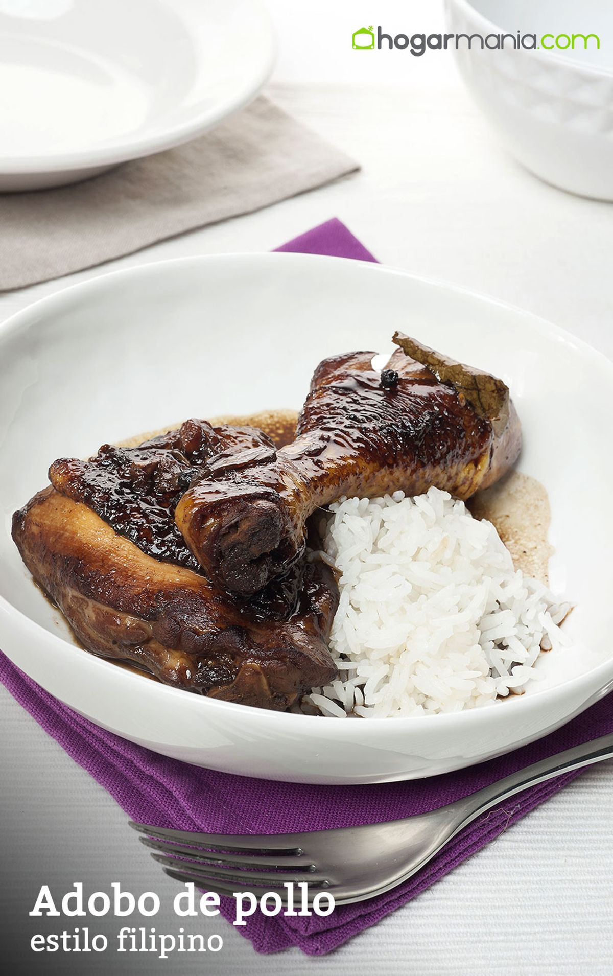 CABI0006 Kevin   Adobo de pollo estilo filipino vertical xl