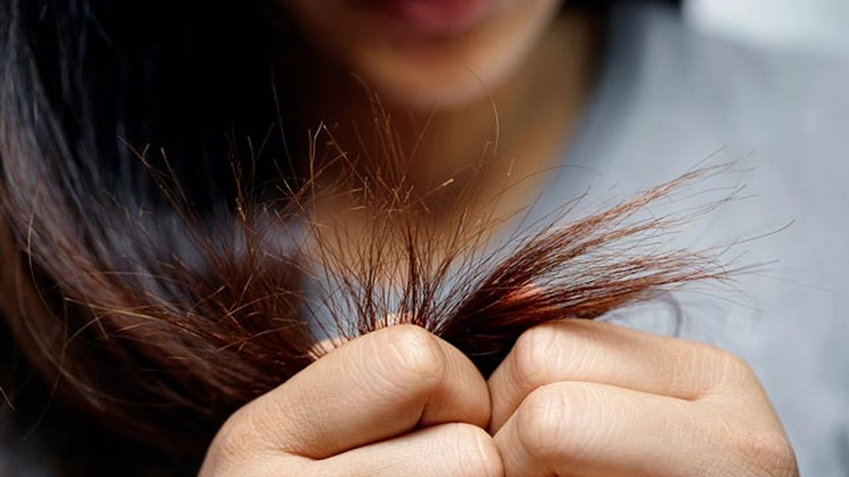 razones por las que deberias sanear el pelo y cortar las puntas abiertas secas