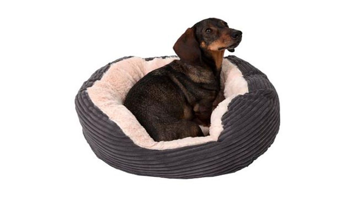 cama perros pequeños zooplus