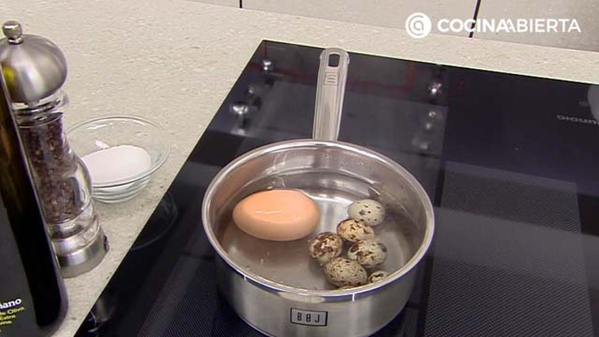 karl6898 huevos escoceses p1