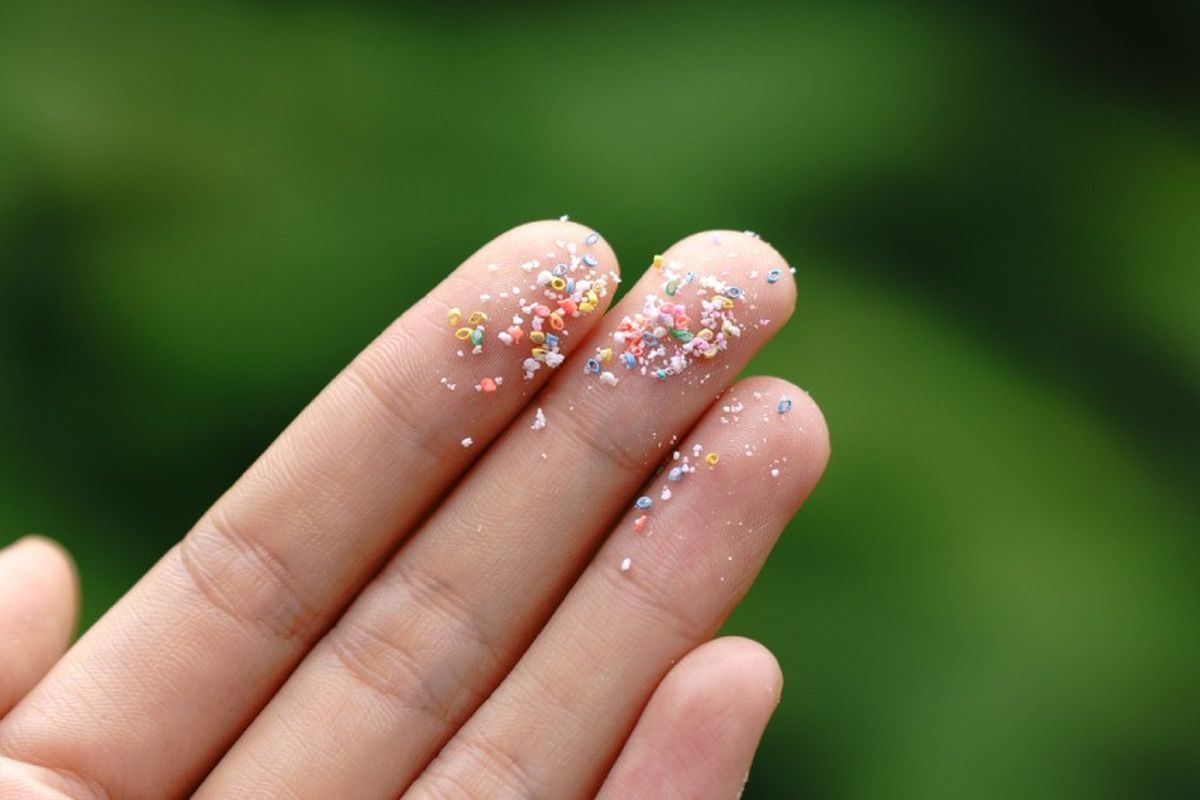 Los microplásticos contaminan el medio ambiente y pueden terminar en nuestros alimentos