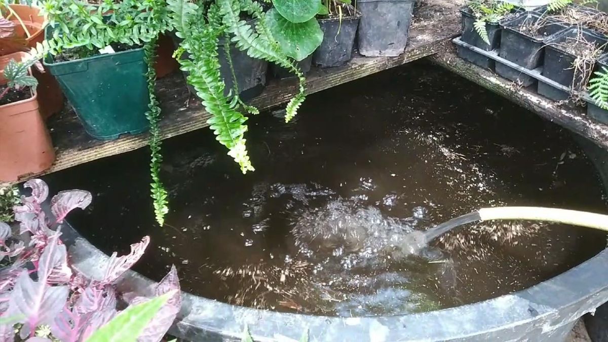 tiempo tarda evaporarse el cloro del agua