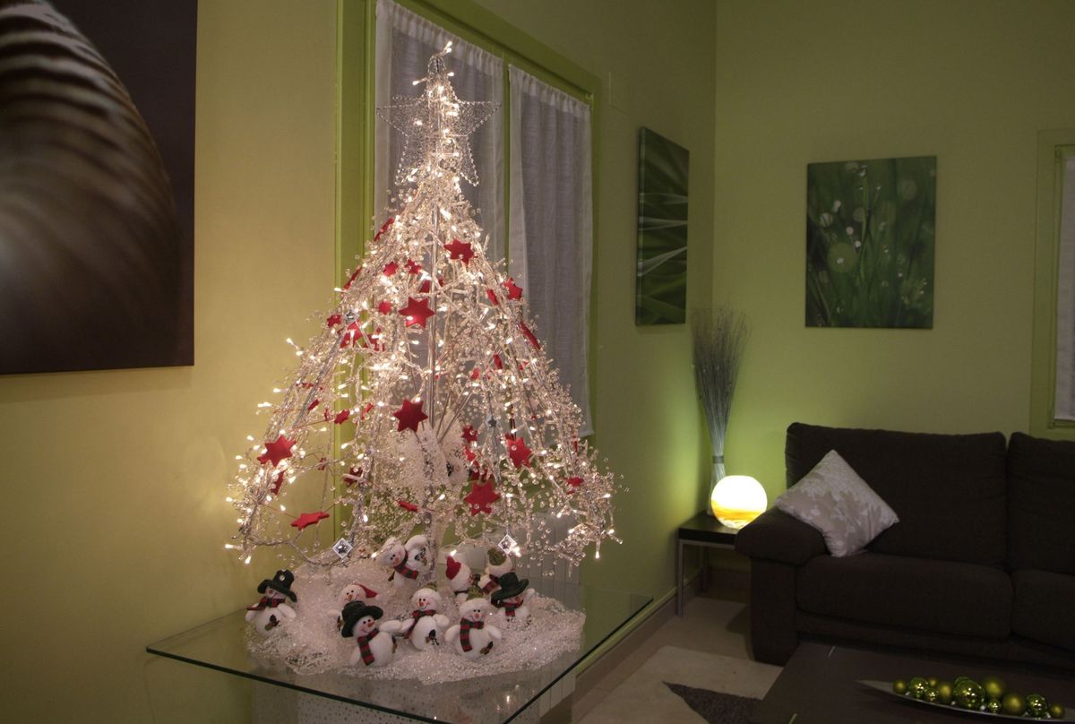 436(85) Abeto paraguas introduccion