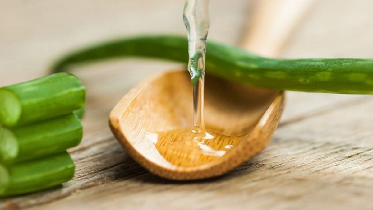 mascarillas caseras para hidratar y alisar el cabello de forma natural que funcionan aloe vera