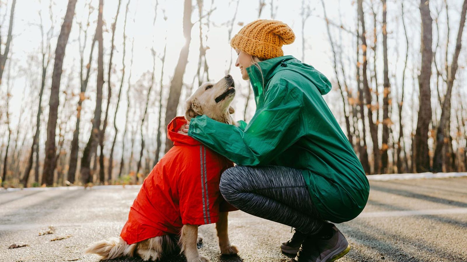 abrigar perro frio portada