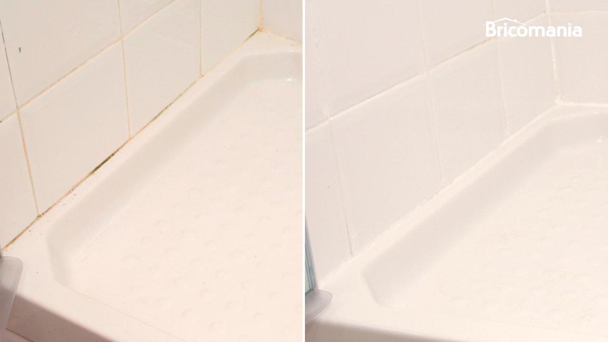 sanear plato de ducha