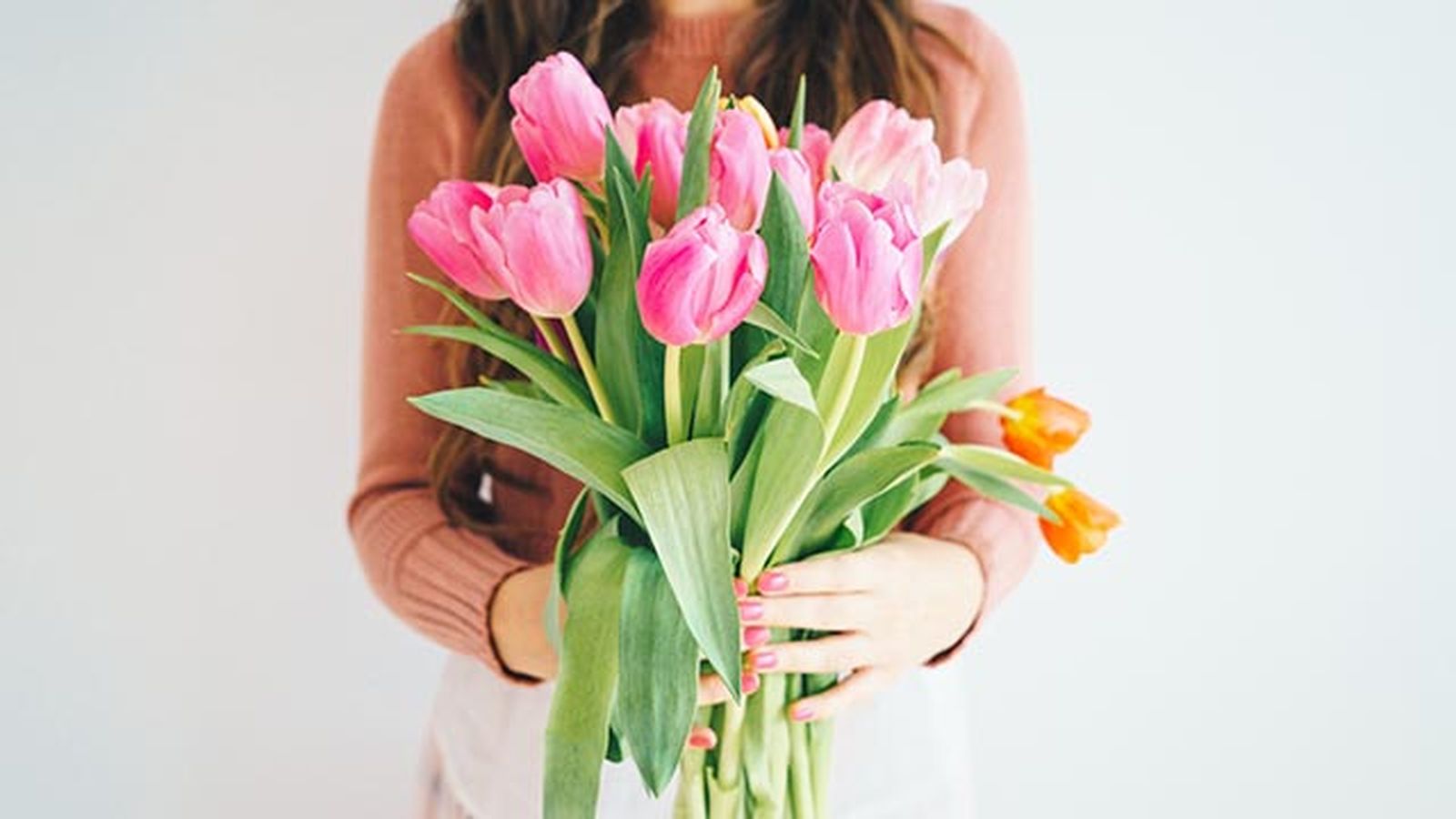 regalar tulipanes