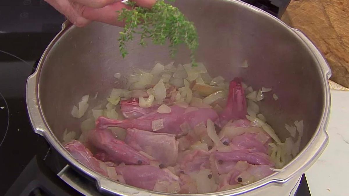 karl6690 conejo jerez p2