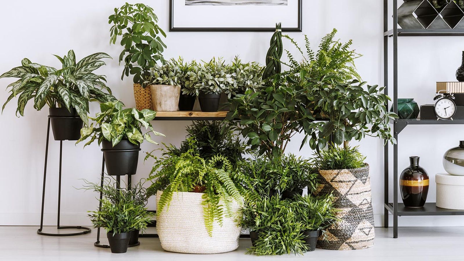 tipos contenedores plantas xl