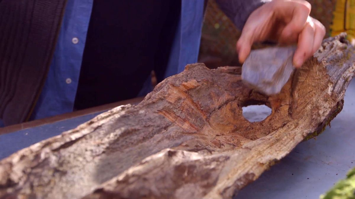 brico 0897 jardineria como crear micro paisaje paso 1