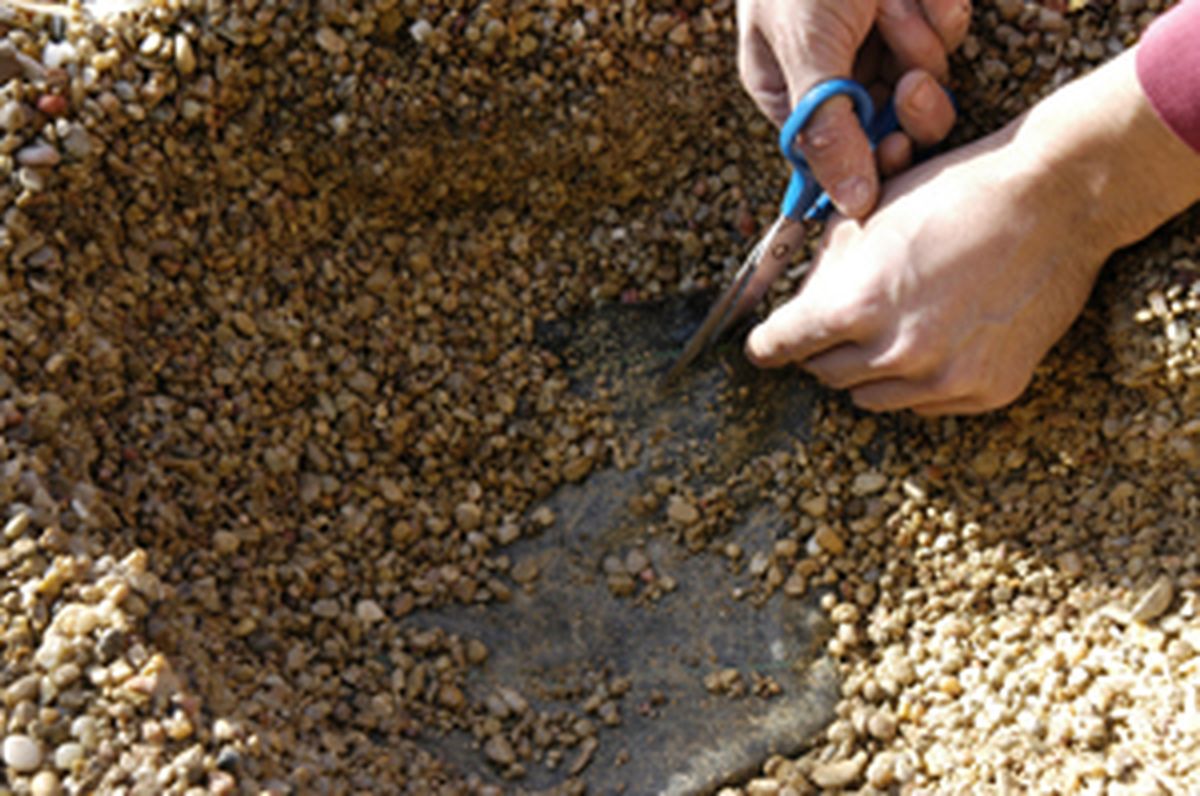Plantación en gravilla al sol   paso 2