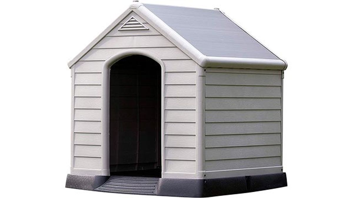 caseta para perros amazon