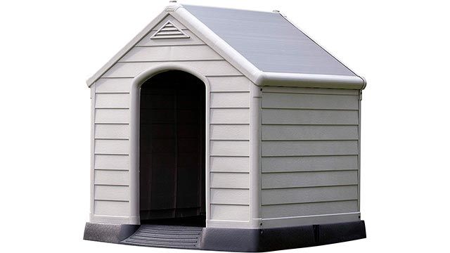 caseta para perros amazon