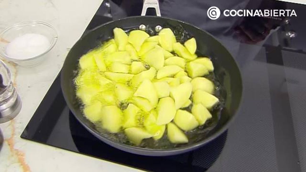 karl7186 conejo albahaca p3