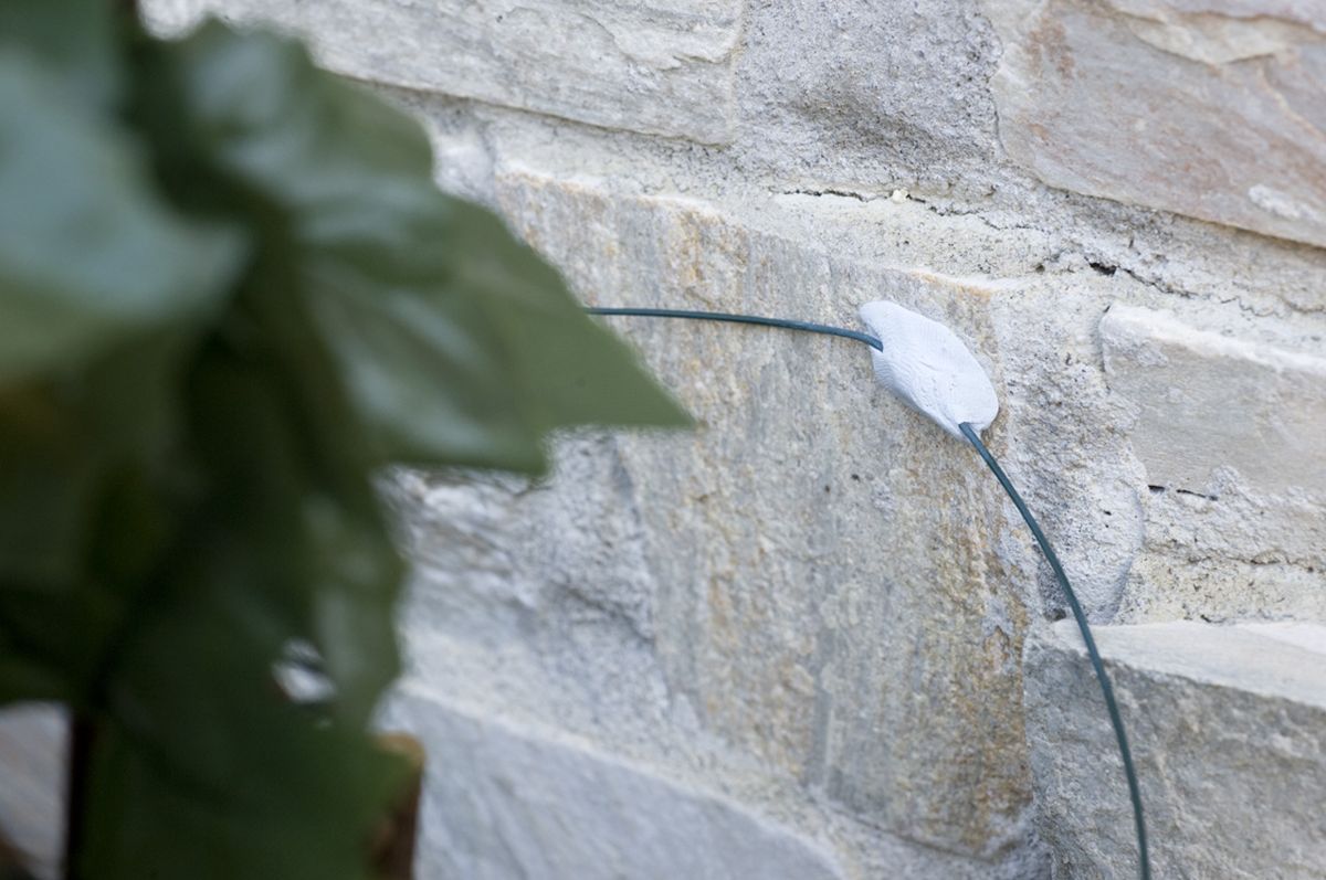 Celosia extensible decorativa paso 7