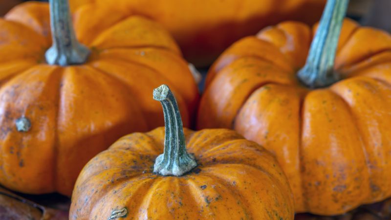 Calabaza dulce de horno