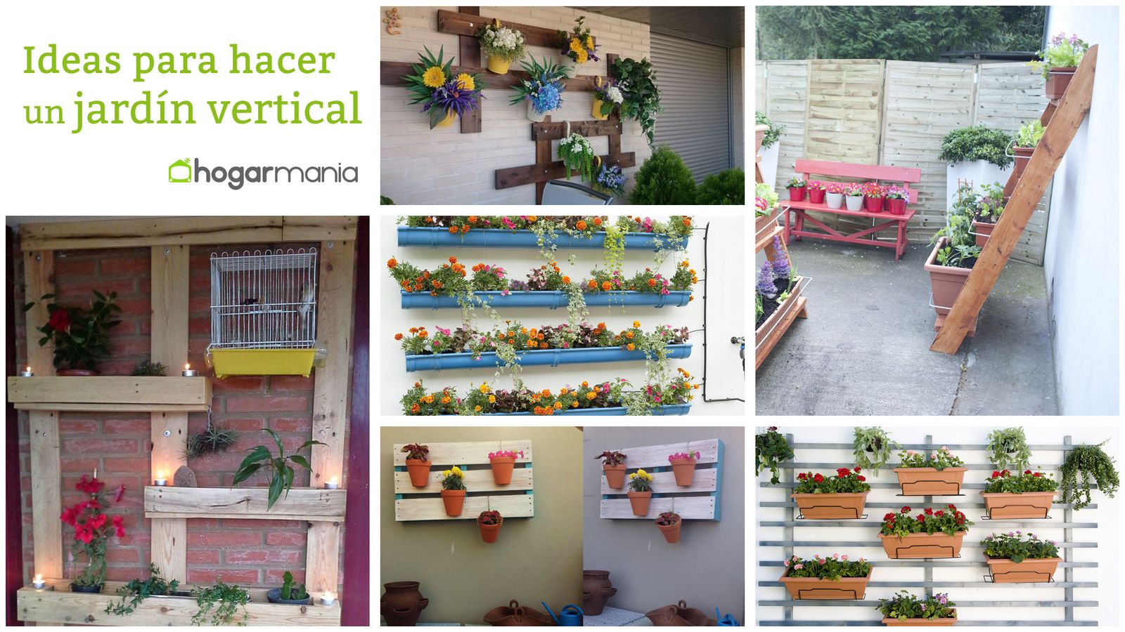 Ideas para hacer un jardín vertical