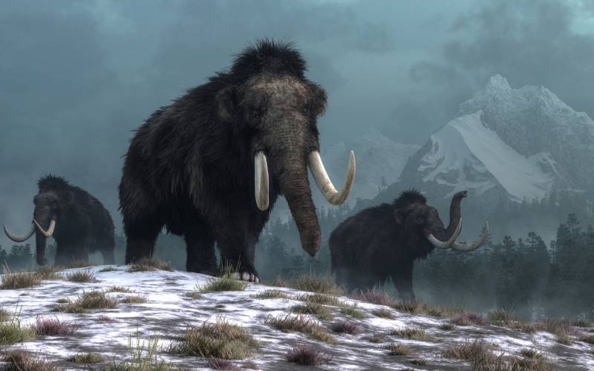 El experimento abre la posibilidad de devolver a la vida al mamut lanudo.