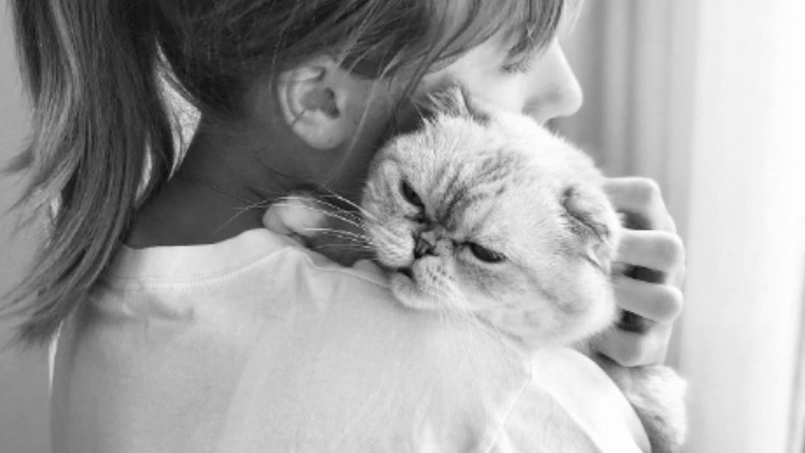 La estrella Taylor Swift abraza a uno de sus gatos