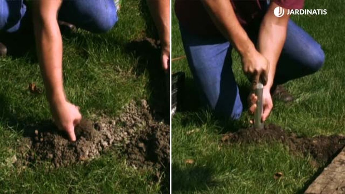 evitra topos en el cesped brico 528