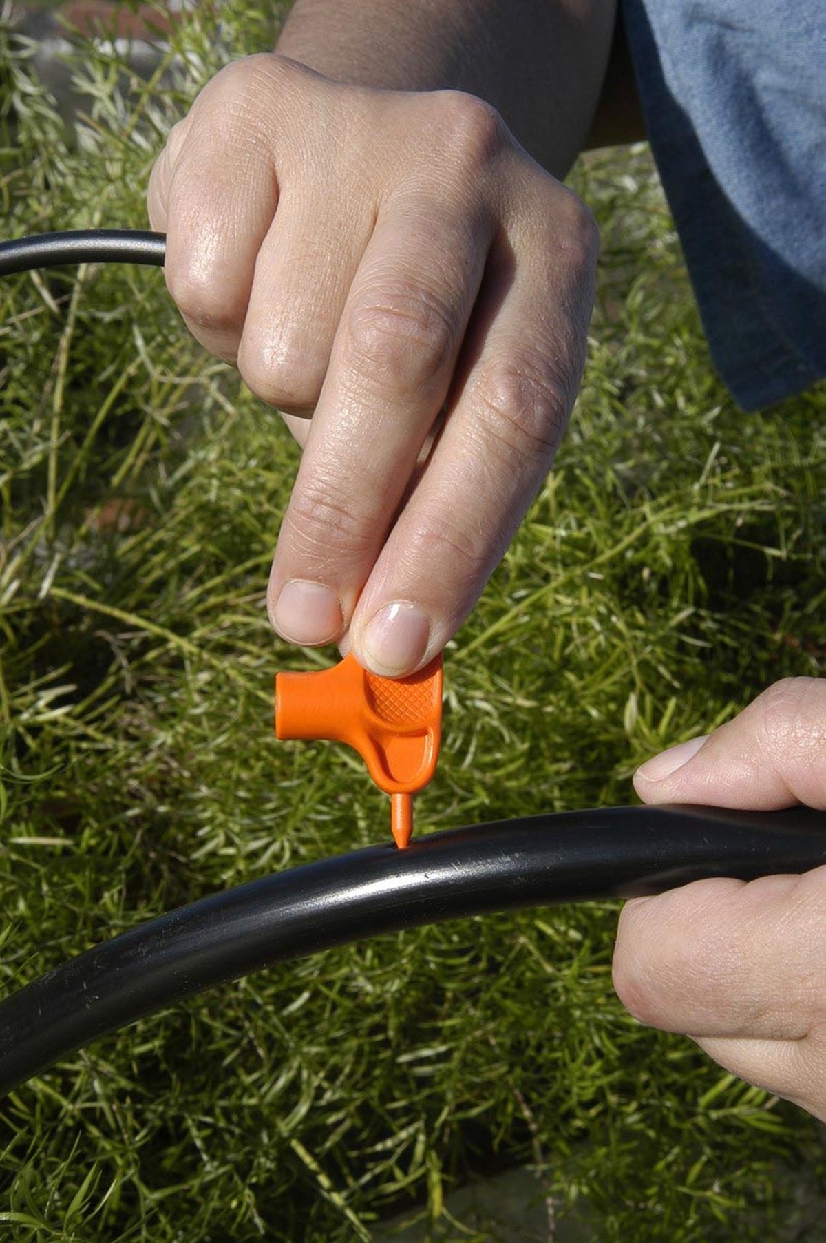 Cómo instalar un sistema de riego por goteo paso 4