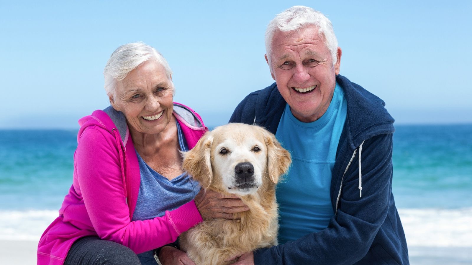 Por primera vez, se podrá viajar con animales de compañía a destinos de costa