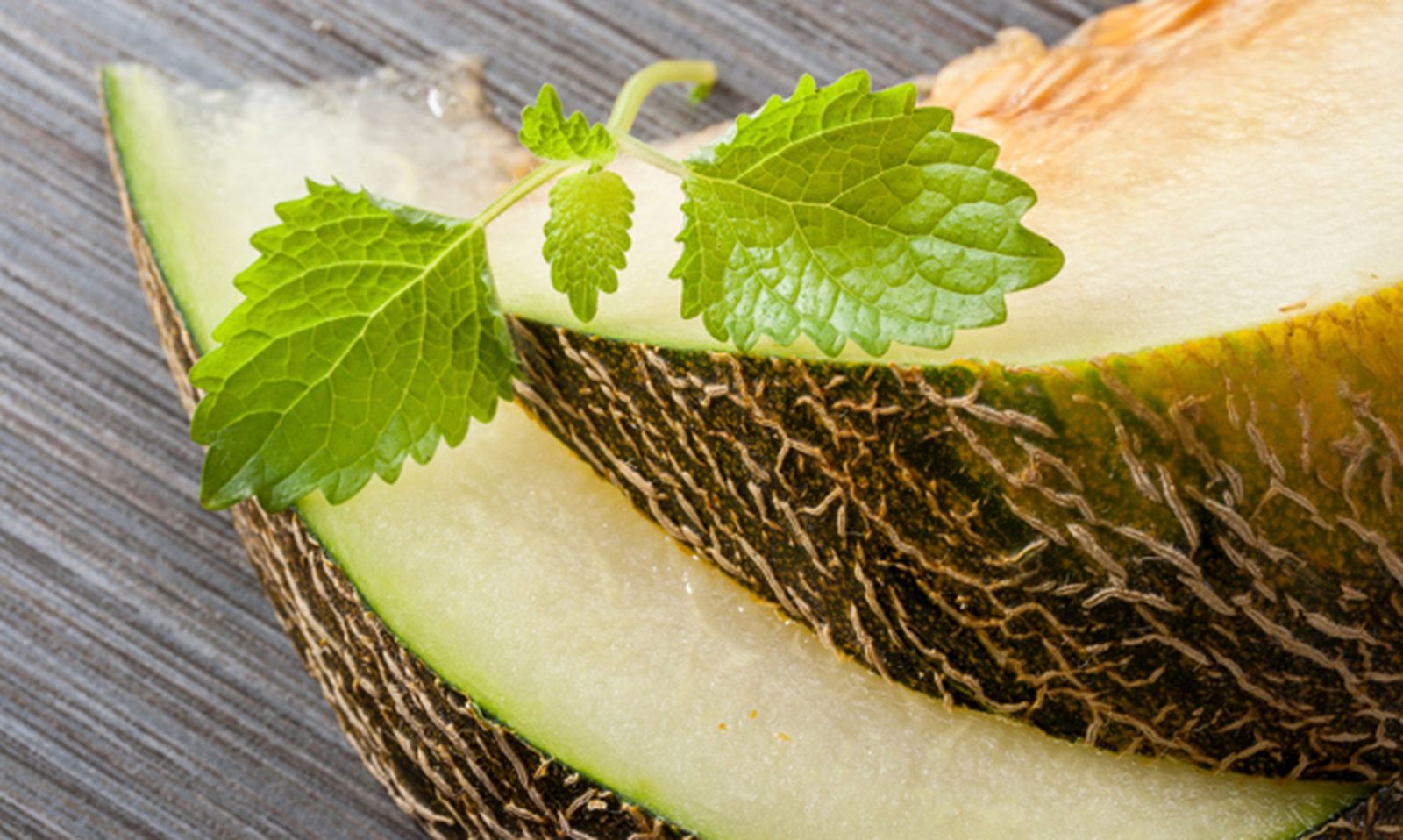 ROJA008_Cultivar melón