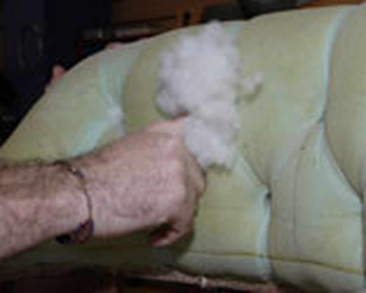 291 restaur butaca p15