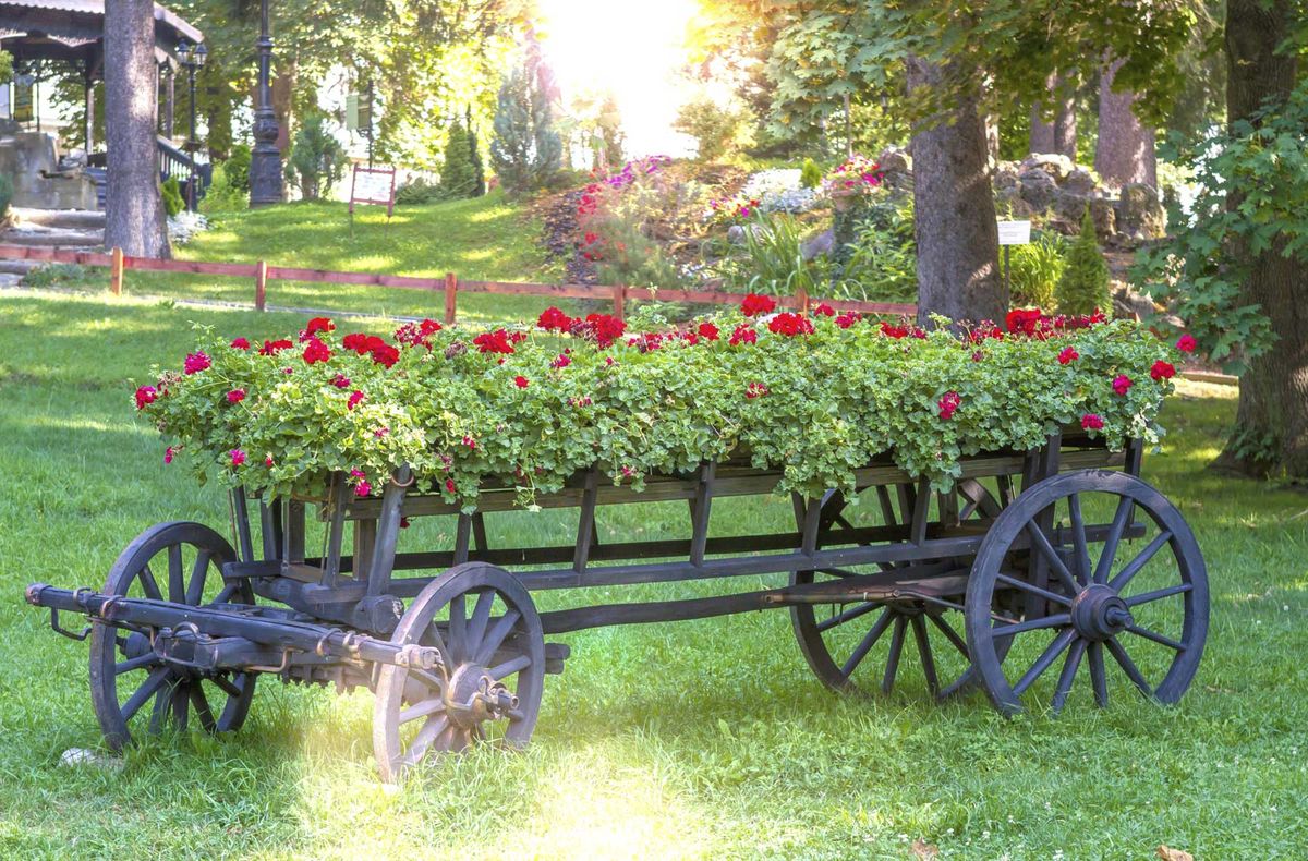 Carros para decorar jardines