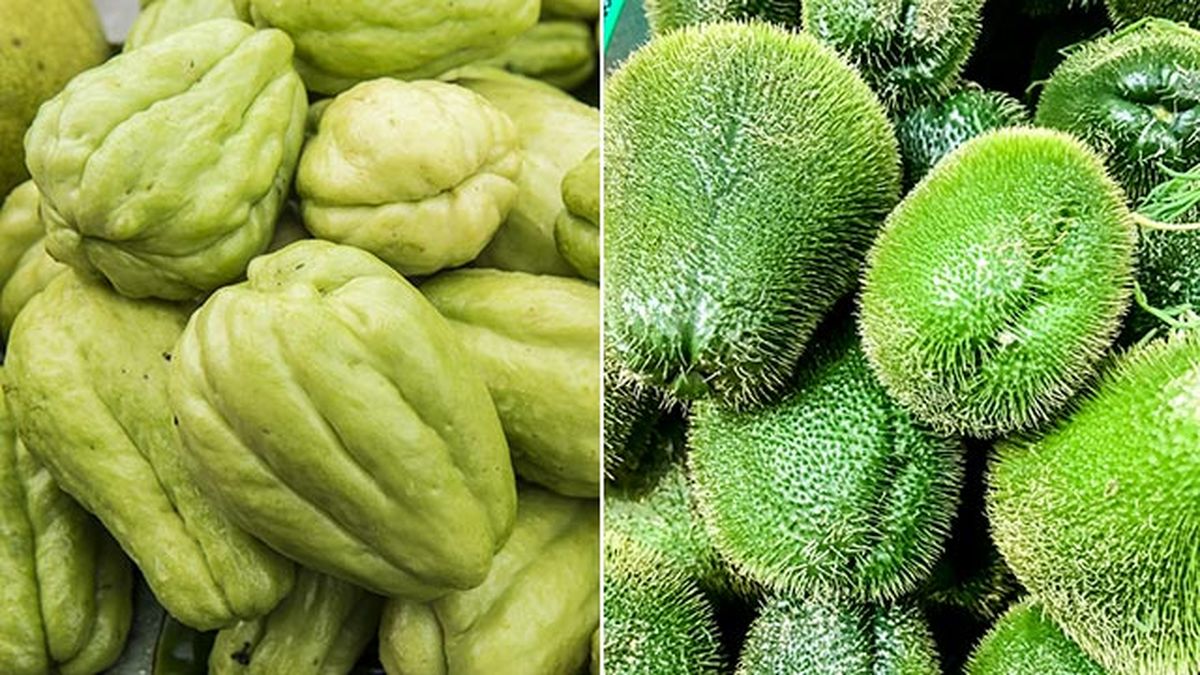 tipos de chayote