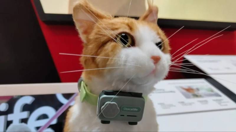 Un dispositivo de comunicación bidireccional con tecnología de inteligencia artificial, GPS y monitoreo de actividad.