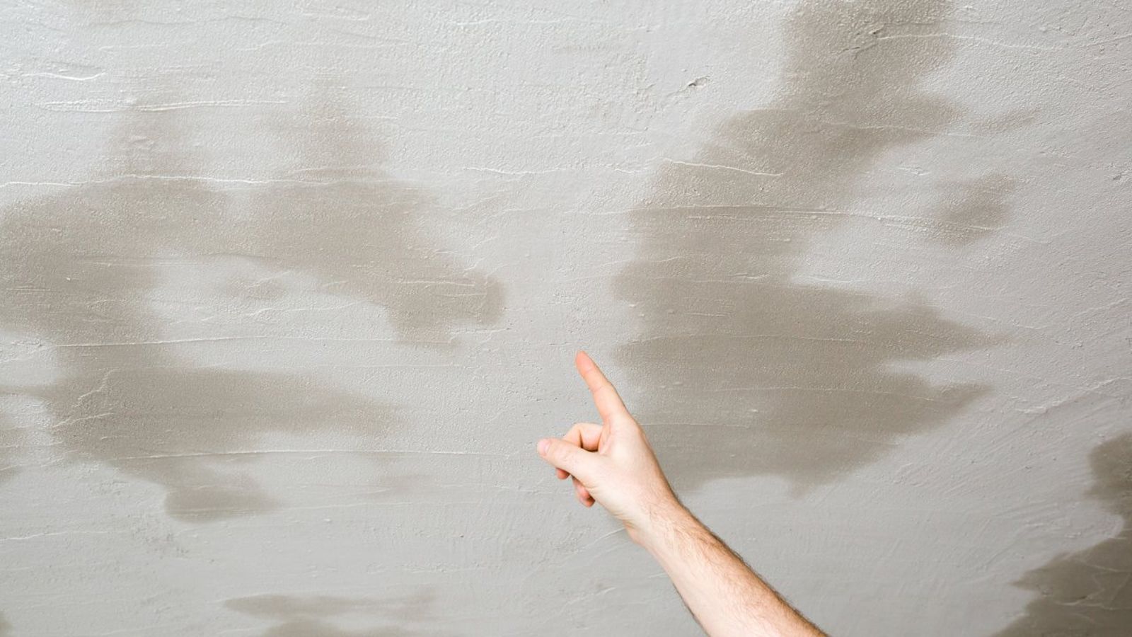 guia completa para secar paredes mojadas