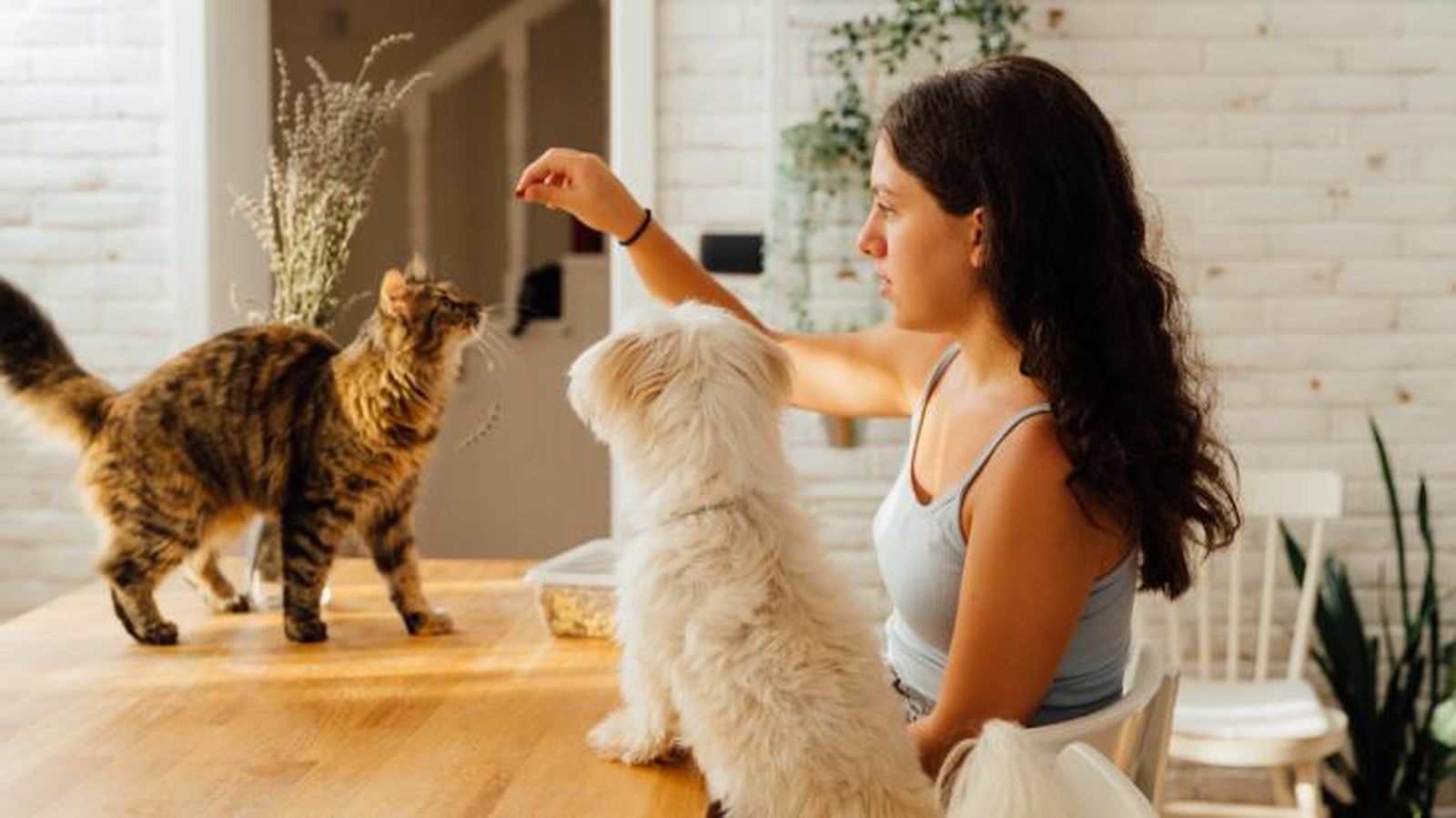 nombres originales para animales 5