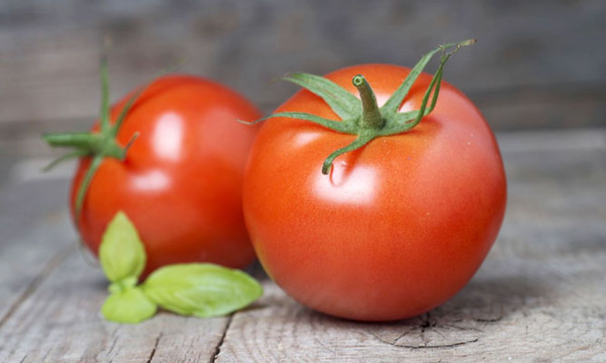 5349 nutricion ainhoa tomate xl