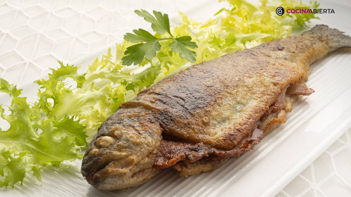 karl7087 trucha panceta xl