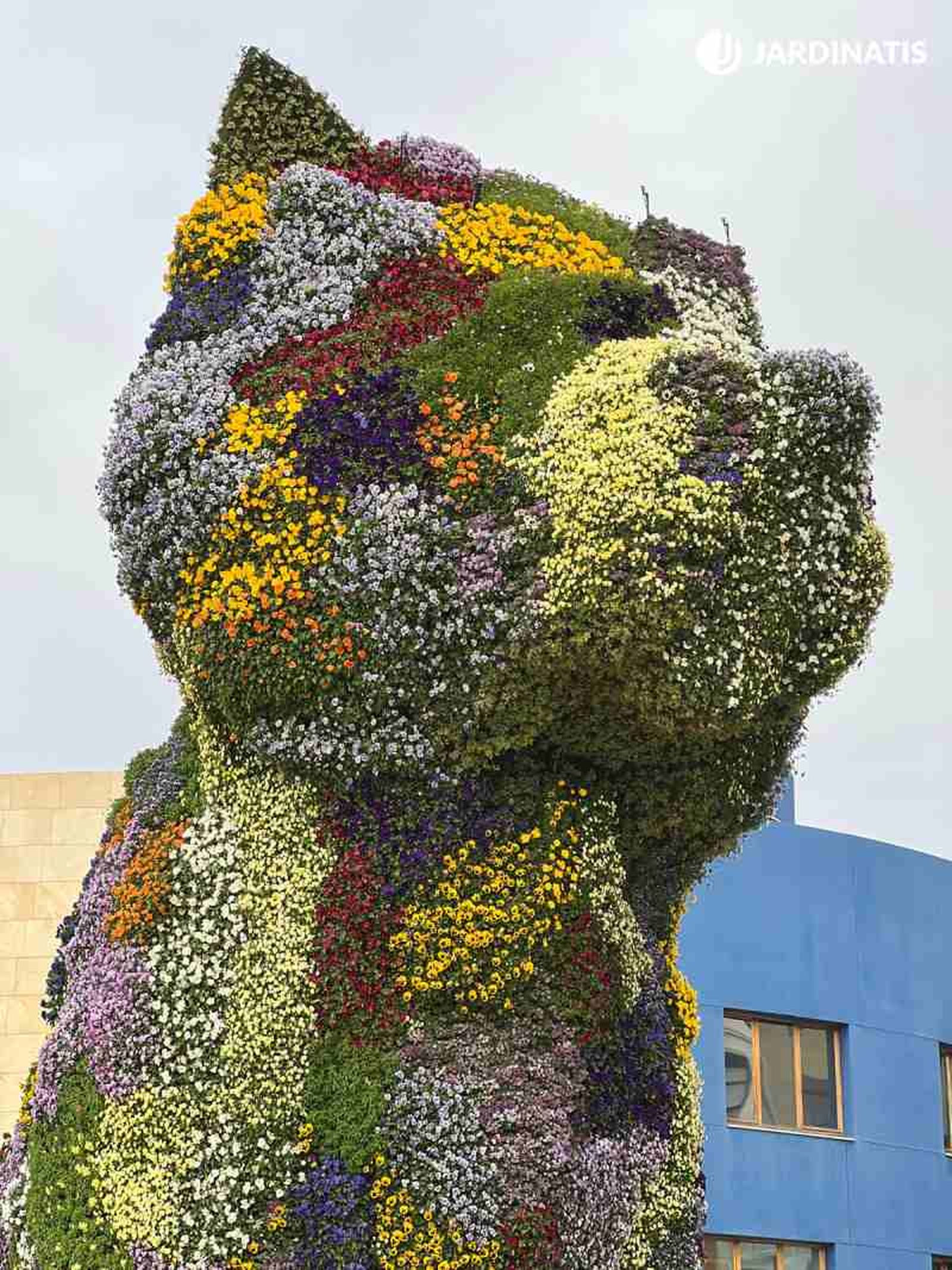 Puppy cuenta con más de 40.000 flores