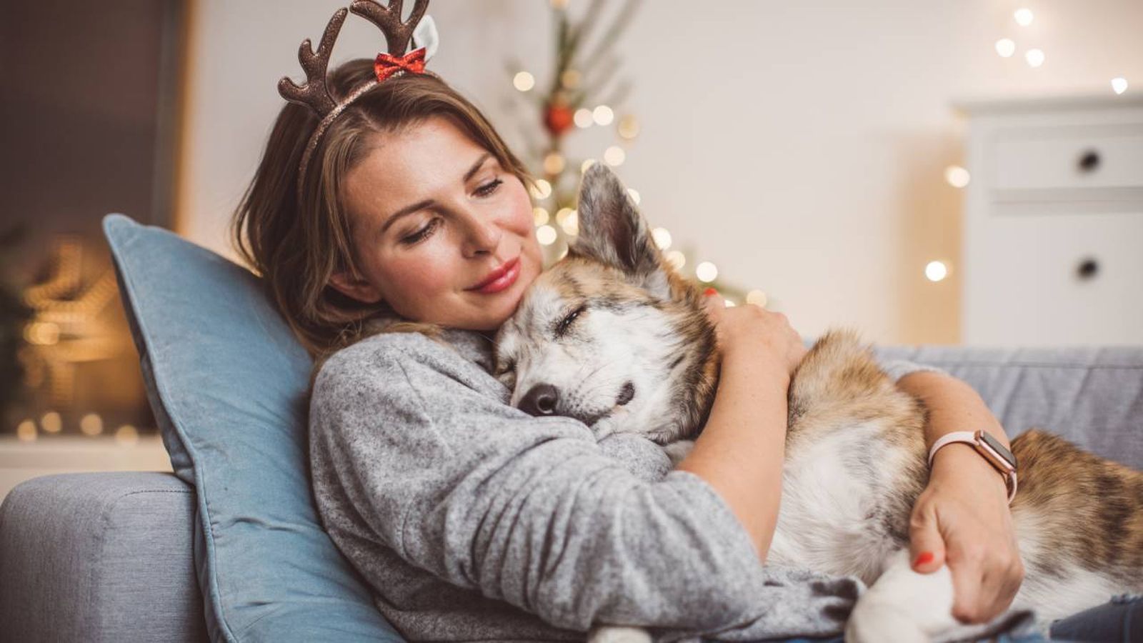 Nochevieja es uno de los días del año en los que más mascotas se pierden asustados.