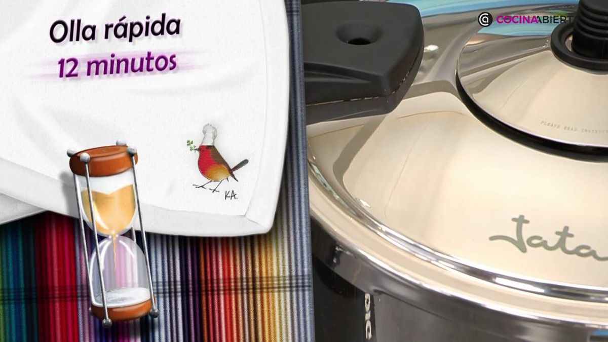Karl7219 tiempo coccion garbanzos olla expres