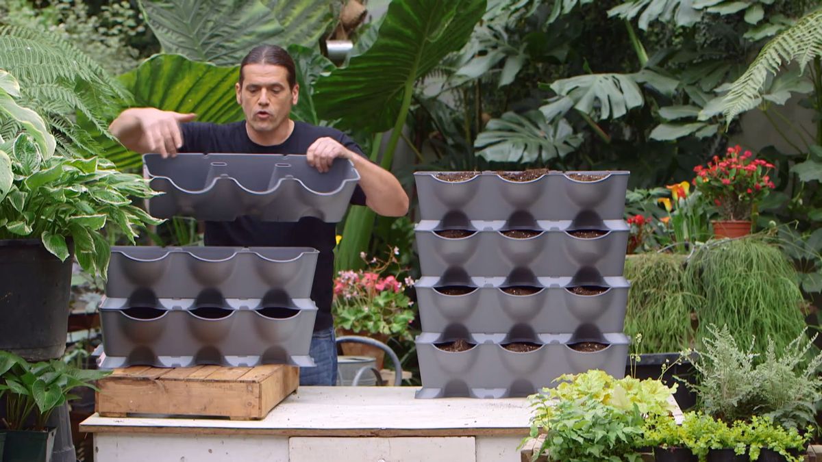 brico 955 3 jardin vertical pared norte kit hueco jardinera