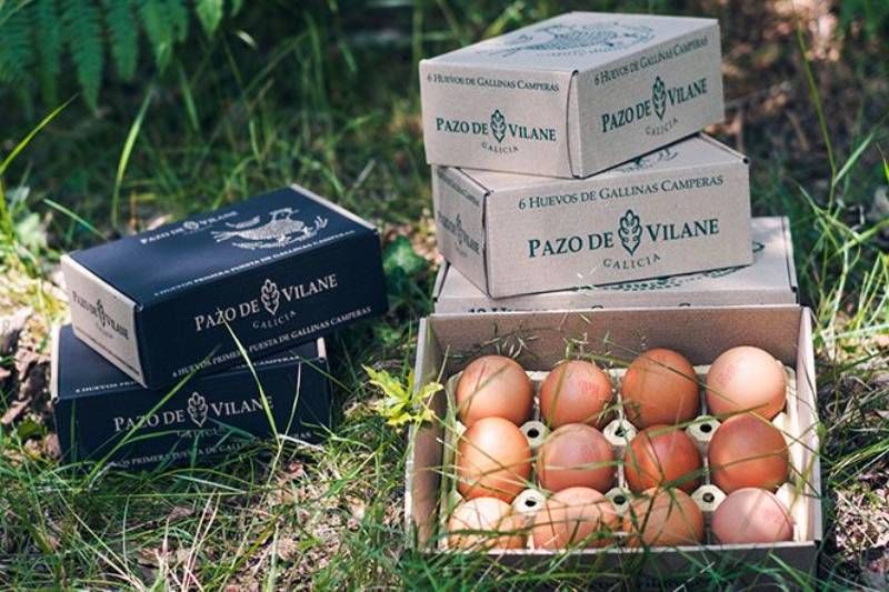 Mejores huevos frescos de supermercado 2024 según la OCU