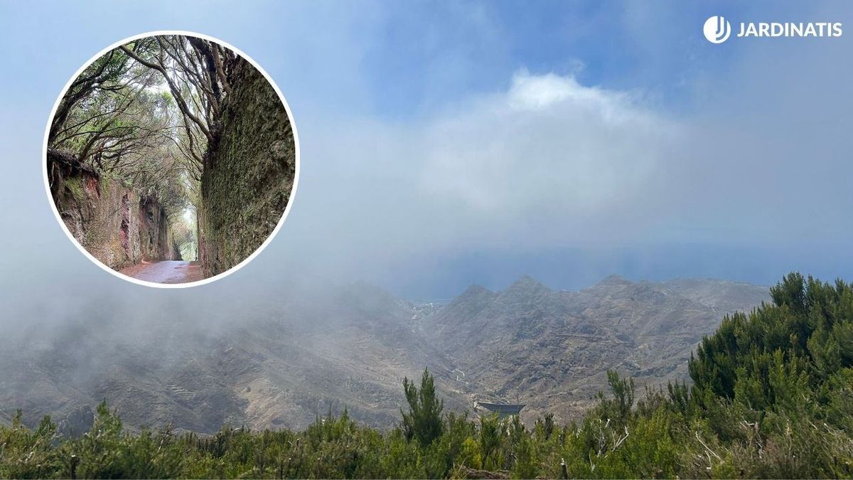 Tenerife esconde lugares únicos