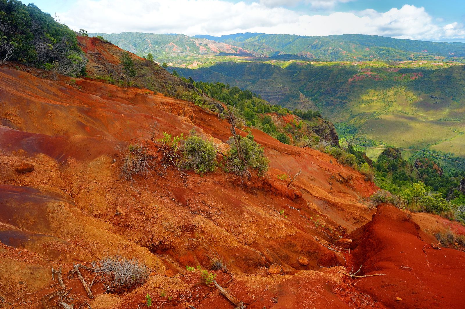 Cómo mejorar un suelo arcilloso