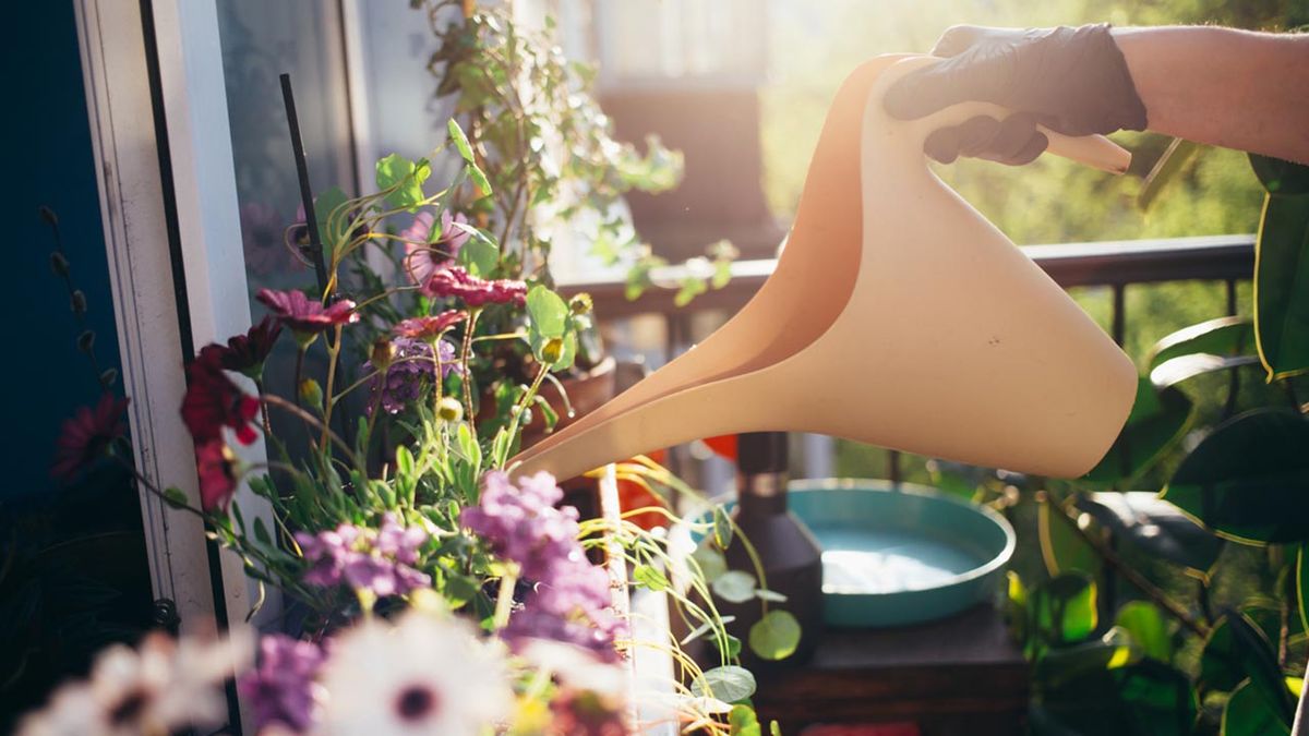 regar flores balcon tareas jardineria octubre hemisferio sur