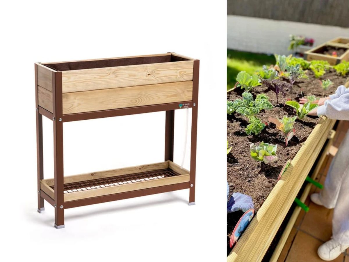 Lavanda S de Mi Huerto Urban.