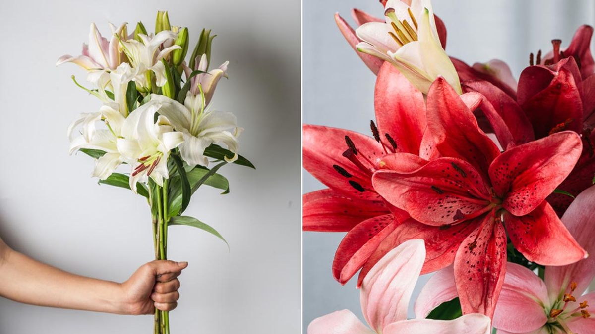 ramo de tulipanes para san valentin