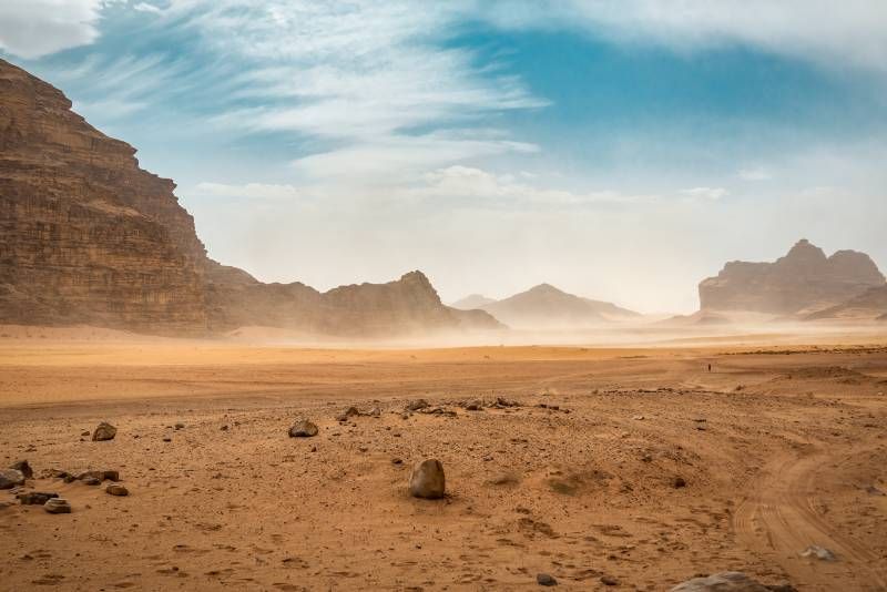 Los desiertos tienen una serie de características que nos permite diferenciarlos rápidamente de otros biomas.